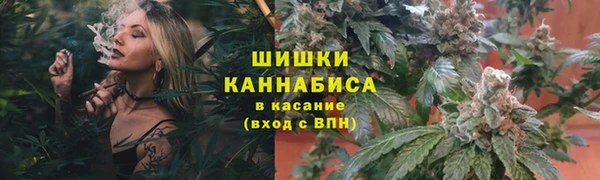 мдпв Горно-Алтайск