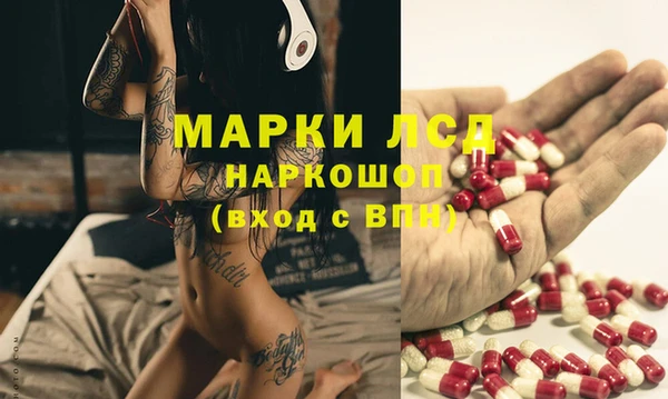 шишки Туринск