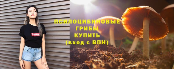 круглые Вязьма