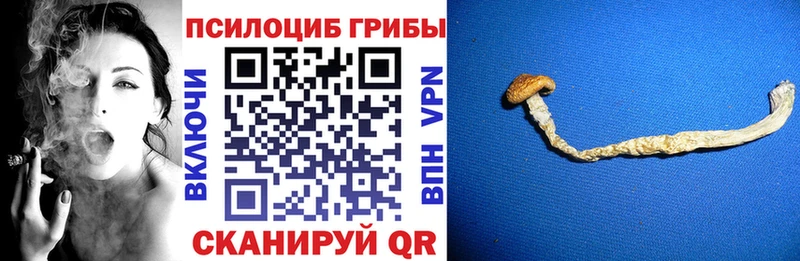 Галлюциногенные грибы прущие грибы  Гусь-Хрустальный 